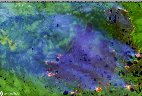 Красноярские ученые: в сибирских пожарах 2020 года виновато не только изменение климата