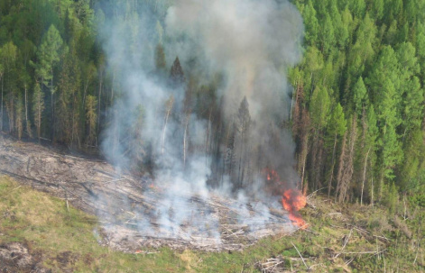 Научная проработка — залог успеха в решении проблемы лесных пожаров