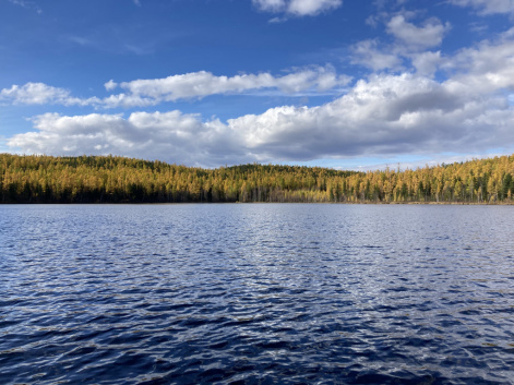 Ученые обнаружили следы Тунгусского феномена на дне озер