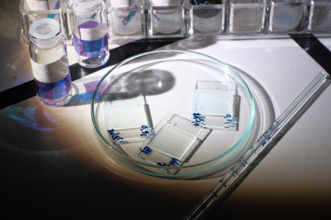 Физики улучшили ключевые характеристики «умного стекла»