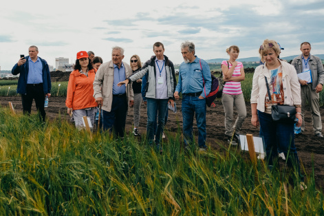 Сибирские аграрии обсудили актуальные сельскохозяйственные вопросы в Красноярске