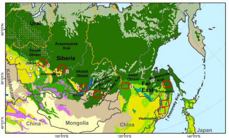Пожары, вырубки леса и строительство дорог: спутниковые снимки показали, что влияет на землепользование в Сибири и на Дальнем Востоке