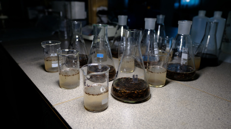 Растворенные в сибирских реках вещества раскрывают возраст лесных пожаров