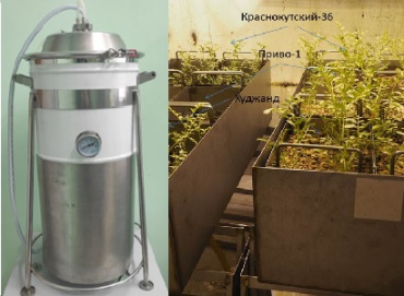 Лаборатория проблем создания круговоротных процессов искусственных экосистем