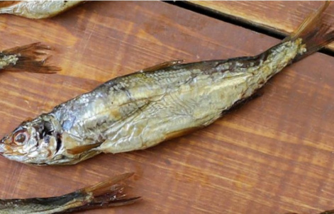 Красноярские ученые выяснили, что енисейская рыба - бесценный источник Омега-3