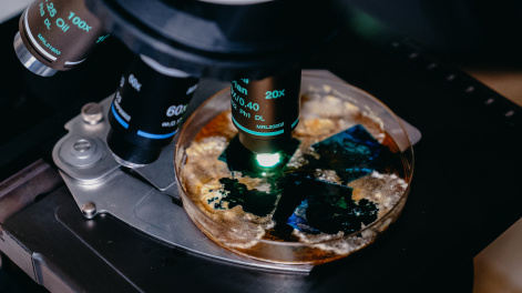 Топ-10 научных кадров 2025 года