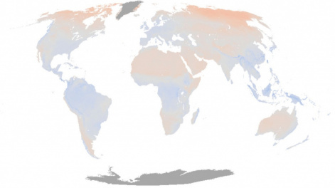 Создана мировая карта температуры почв
