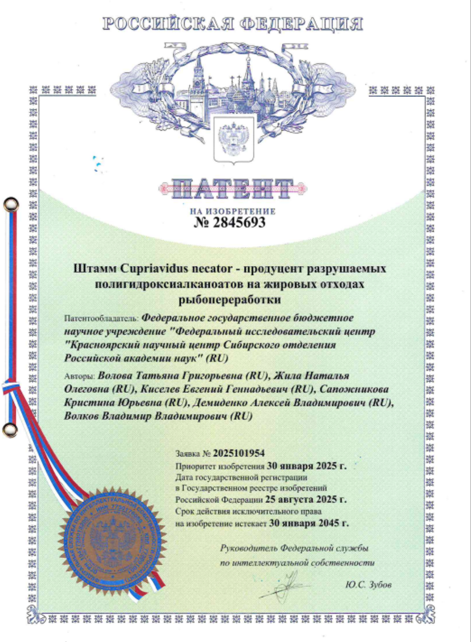 Получен патент РФ на изобретение "Штамм Cupriavidus necator - продуцент разрушаемых полигидроксиалканоатов на жировых отходах рыбопереработки" № 2845693 приоритет от 30.01.2025 г.
