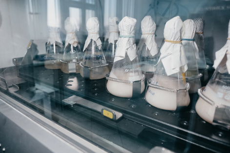 Ученые научились синтезировать биоразлагаемые полимеры из отходов шпротных консервов