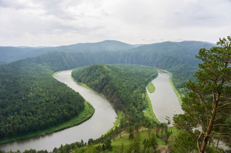 Красноярские ученые: леса Сибири перерабатывают значительную часть выбросов Западной Европы