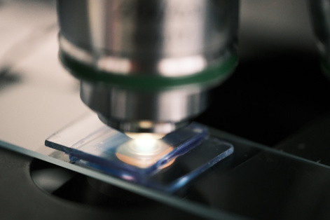 Электрическое поле управляет «внутренним миром» жидких кристаллов