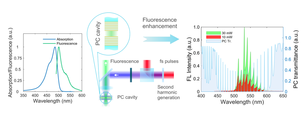 2. Блок-схема работы, иллюстрирующая эксперимент по лазерно- индуцированной флуоресценции зеленого флуоресцентного белка..png