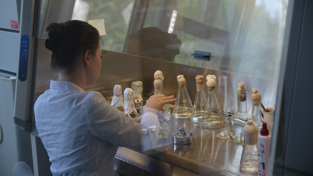 Ученые выделяют штаммы бактерий .JPG