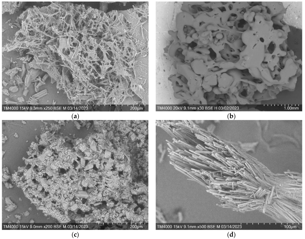 Образцы арабиногалактана и его производных. Фотография со сканирующего электронного микроскопа.png