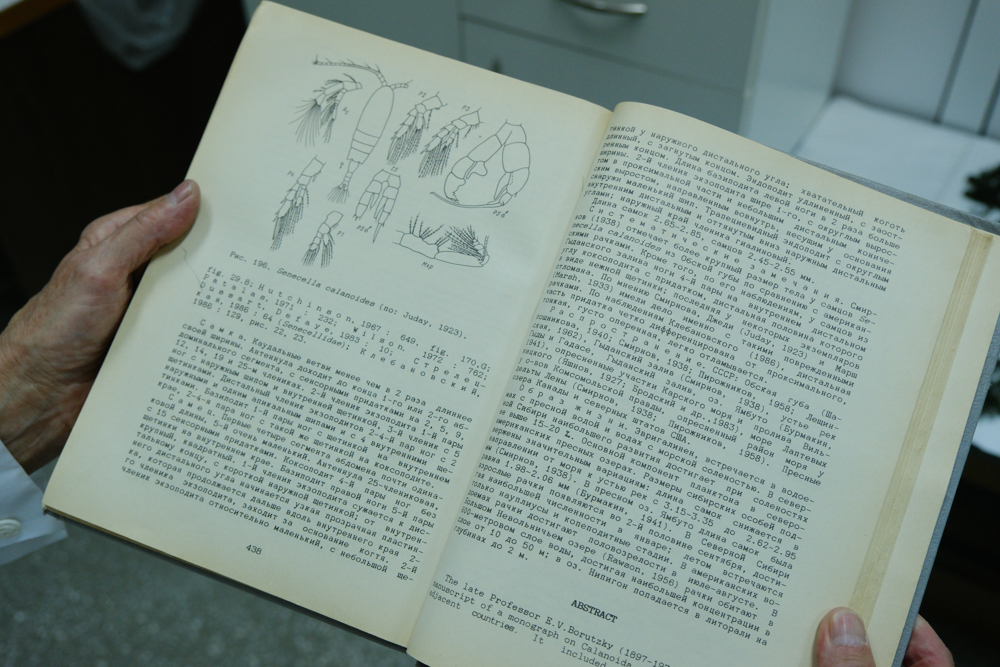 Fig. 1. Crustaceans on microscope glass.jpg