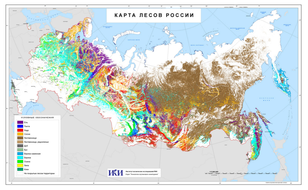 Карта лесов России по преобладающим породам деревьев.jpg