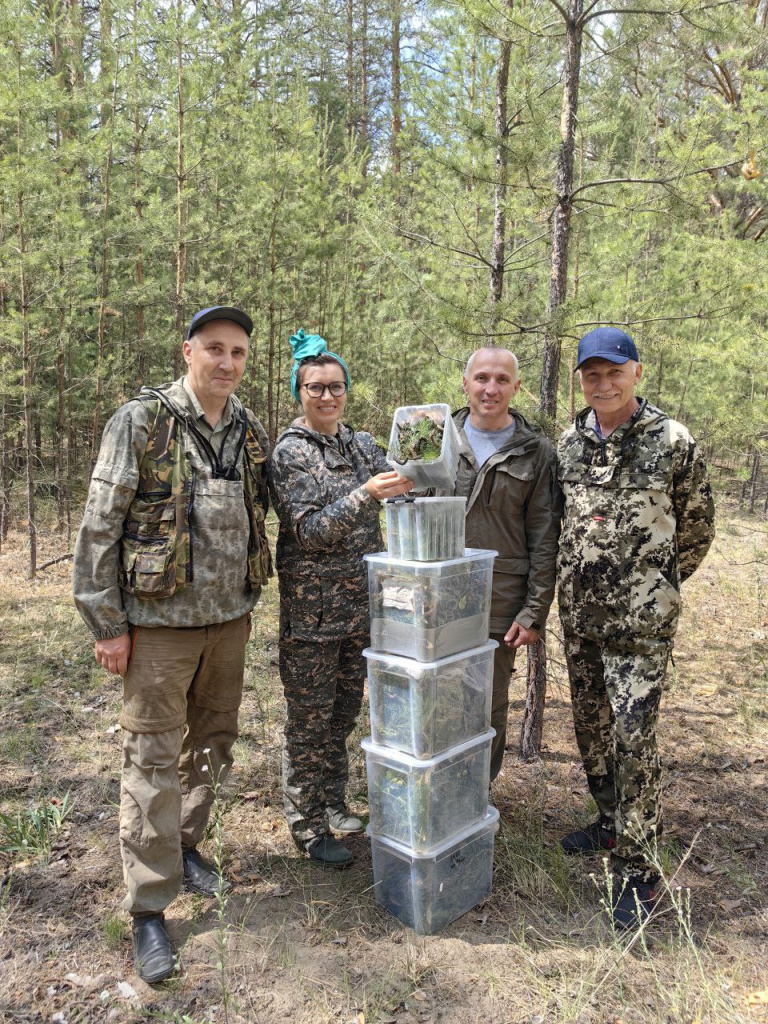 4. Фото с полей. Тыва, Алтай, июнь 2025..jpg