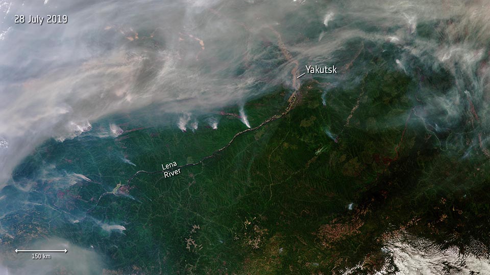 Дымные шлейфы лесных пожаров на спутниковой фотографии.jpg