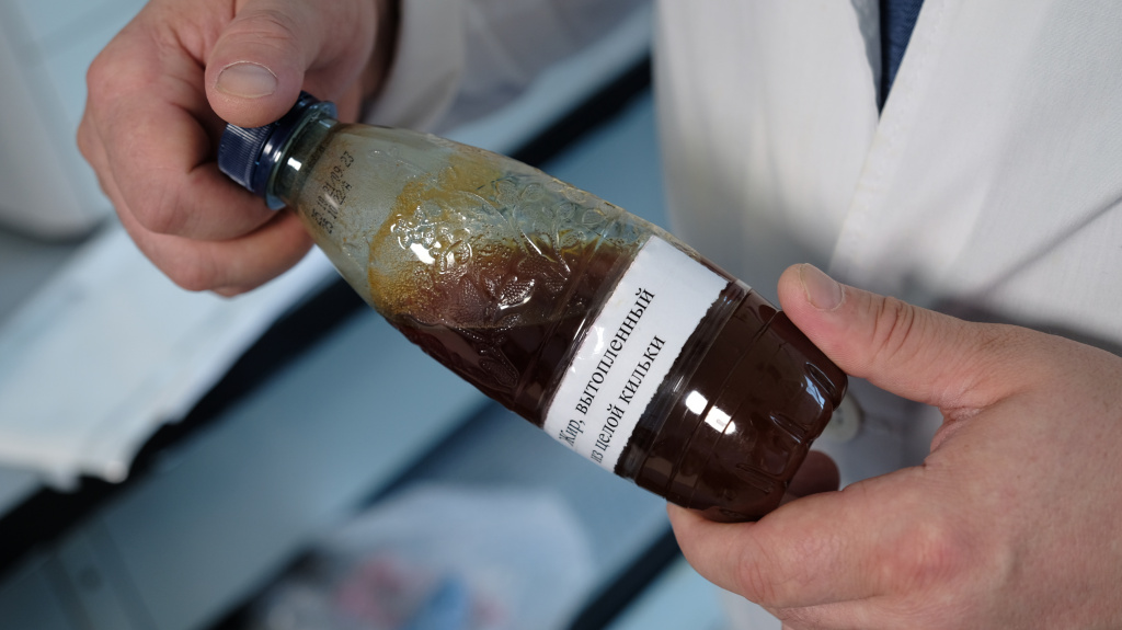 Жир кильки.JPG